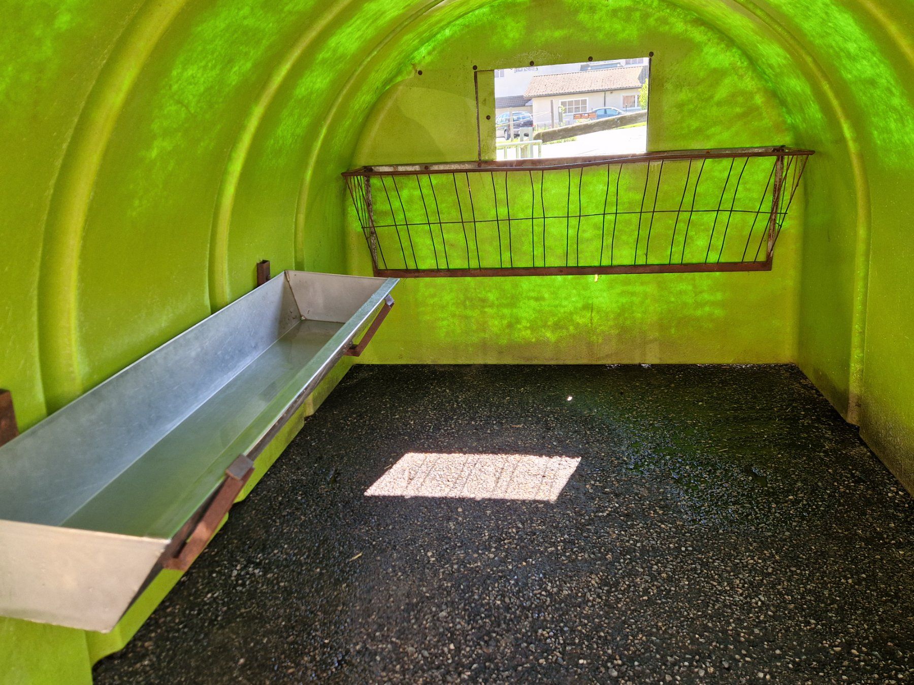 Gabbie, trasporto & Sicurezza: Kälberiglus – Usato da Heiligkreuz (Mels) venduto da Steyr09 4