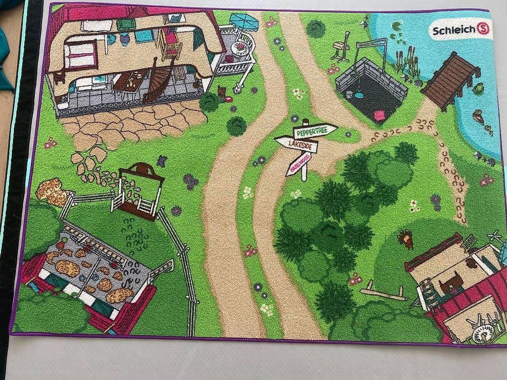 Tappeti: Teppich Schleich  – Usato da Steinach venduto da Susansung