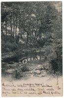 Étude près Genève, enfants au ruisseau, circulée 1904