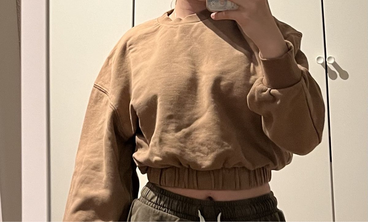 Zara Pullover & Sweatshirts: Pullover – Neu (gemäss Beschreibung) aus Wangen b. Olten von oli_f9b8 1