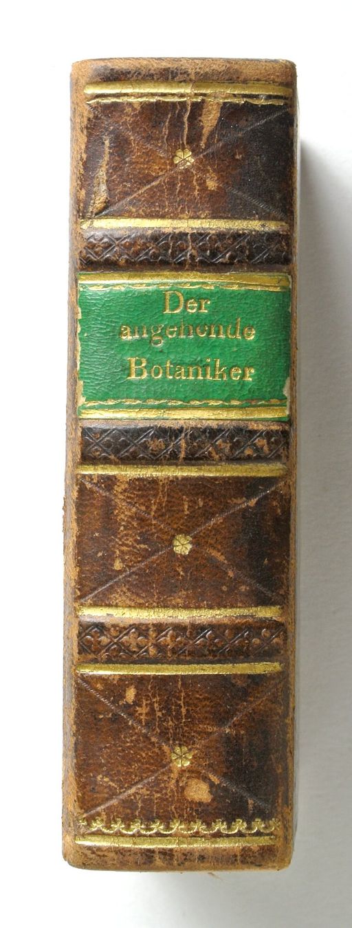 Libri: Schmidt, Joh. Aug. Friedr. Der angehende Botaniker – Usato da Erschwil venduto da taglang 1