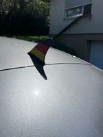 Fanflosse