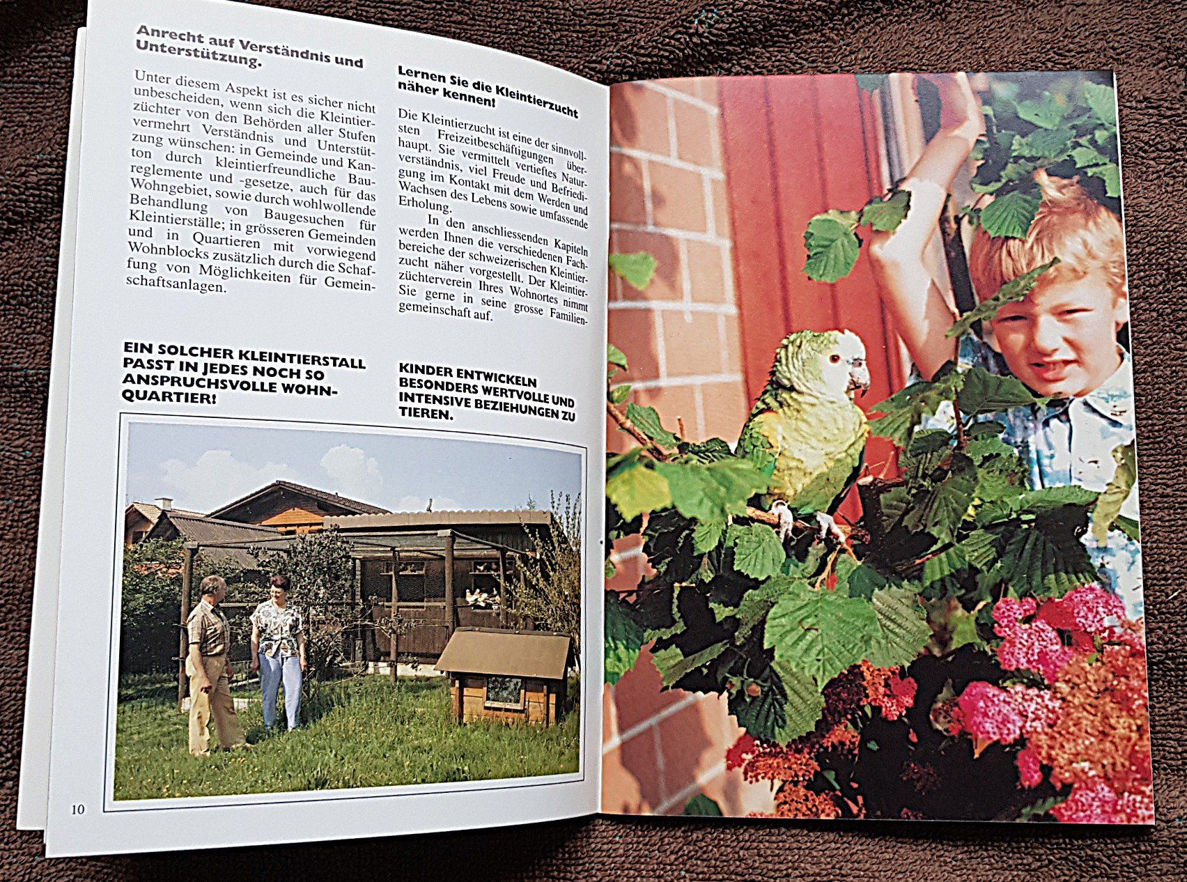 Bücher: Die Kleintierzucht: Einführung in ein lebendiges Hobby – Gebraucht aus Winterthur von Joschko 1