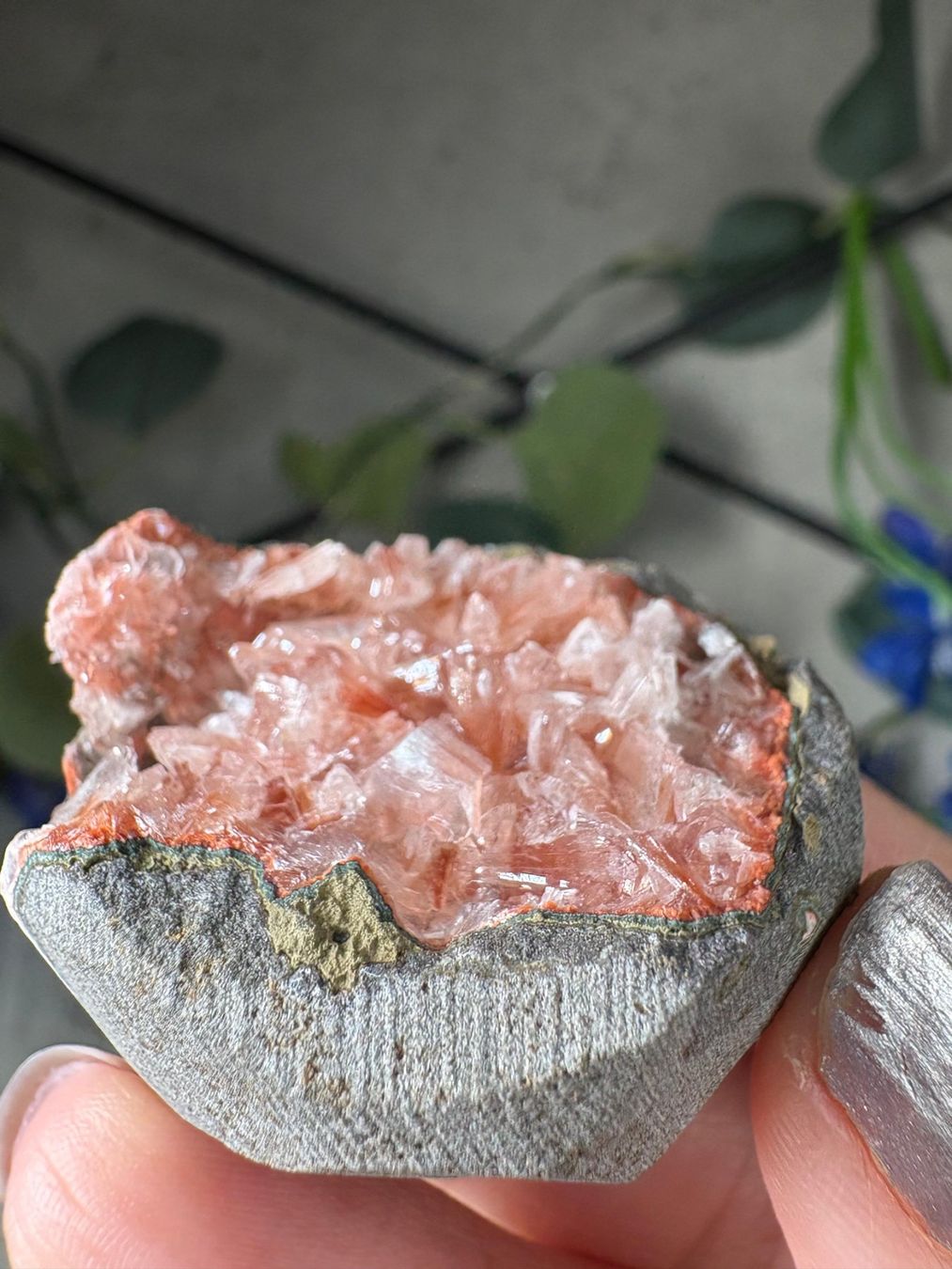 Pietre preziose: Pink Heulandit-Geode – Nuovo e nell'imballaggio originale da Neuheim venduto da m.hald 3