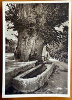 Brunnen - Vor dem tore - Fontaine