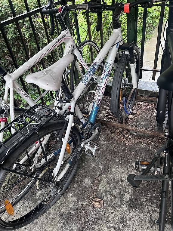 Biciclette: Kinderfahrrad Scott – Usato da Bern venduto da ala_8spm
