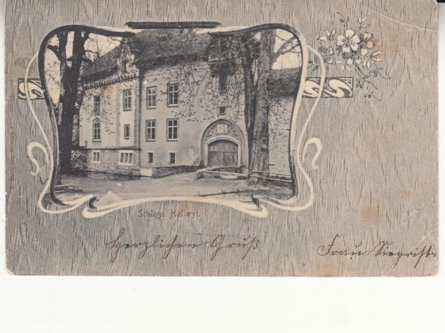 Cartoline postali: Hallwil 1904 mit Stabstempel Tennwil – Usato da Bürglen TG venduto da StampGraf