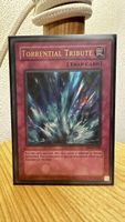Yu-Gi-Oh! Torrential Tribut / DB1