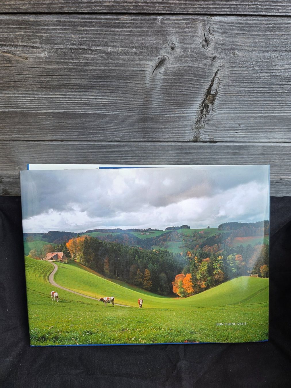 Libri: Buch – Usato da Mörigen venduto da Sandra_z 3