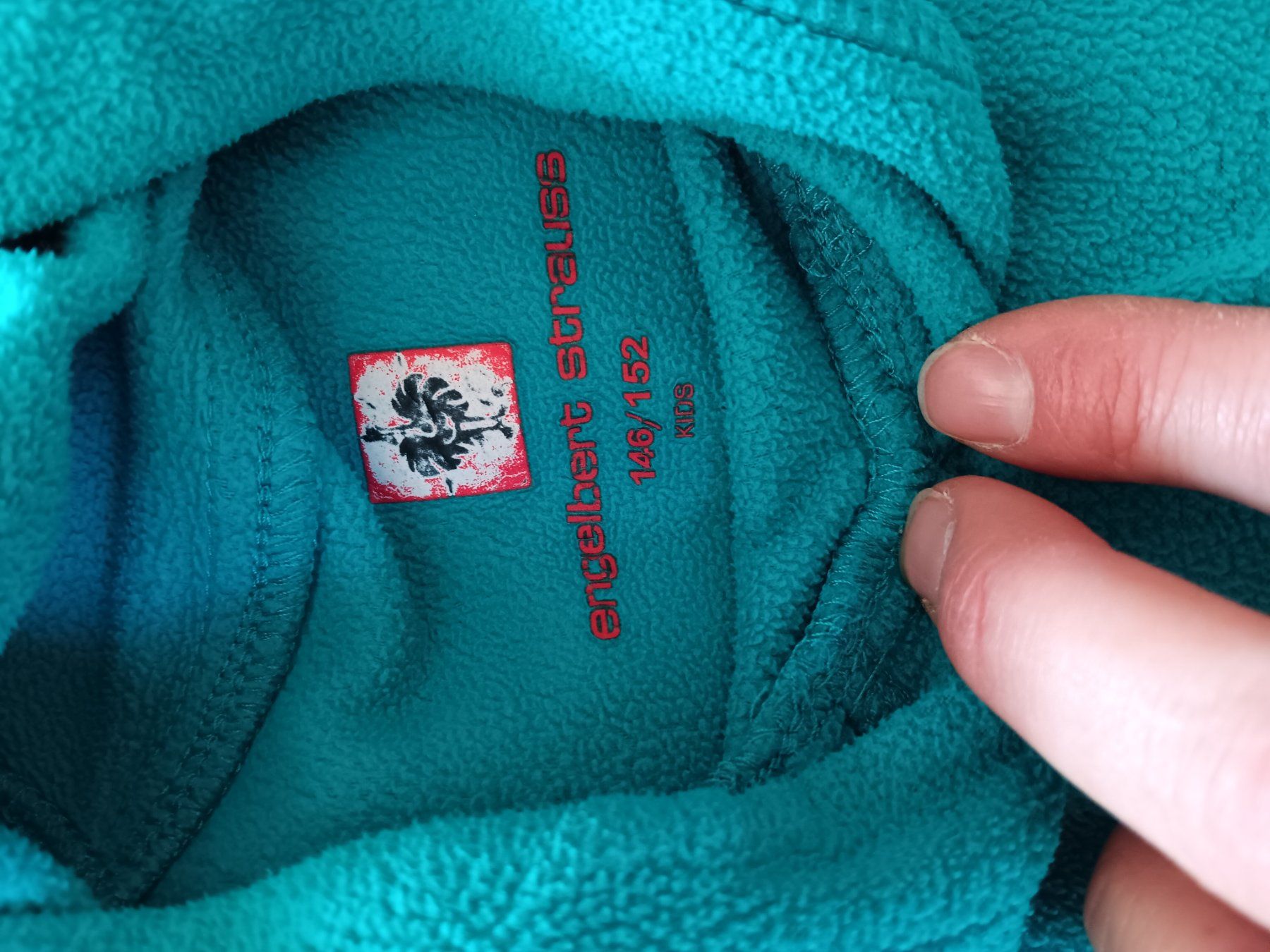 Maglioni & Felpe: 5 Pullover/Longsleave 146/152 – Usato da Arnegg venduto da Ignite80 2