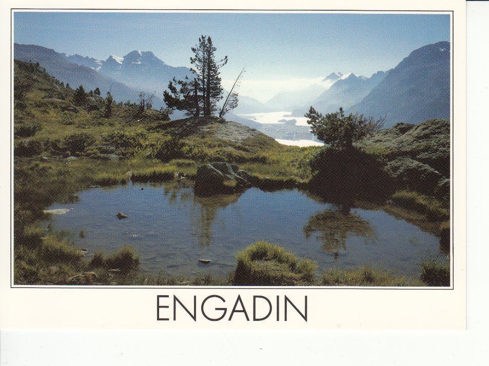 Cartoline postali: Engadin 4 um 1995 – Usato da Bürglen TG venduto da StampGraf