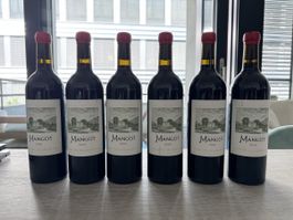 6 bottles - Chateau Mangot 2020 - Saint-Émilion Grand Cru