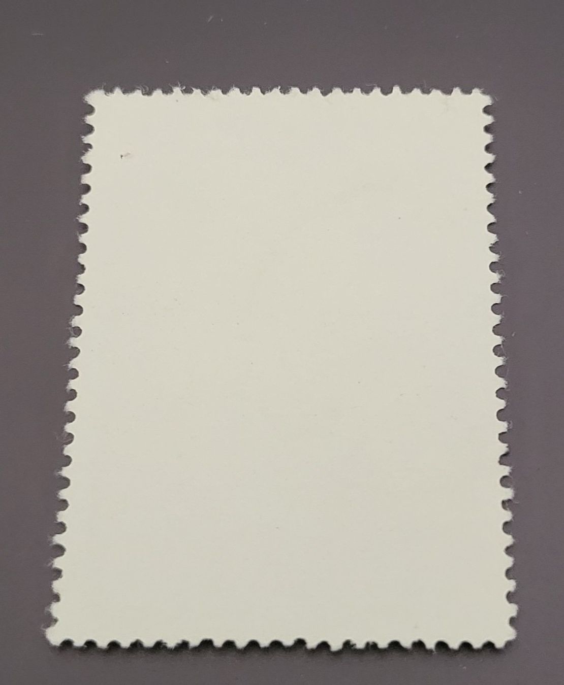 Tutti i francobolli: Polen 1964 Blumen briefmarke – Usato da St Gallen venduto da Stampsalshobby 1