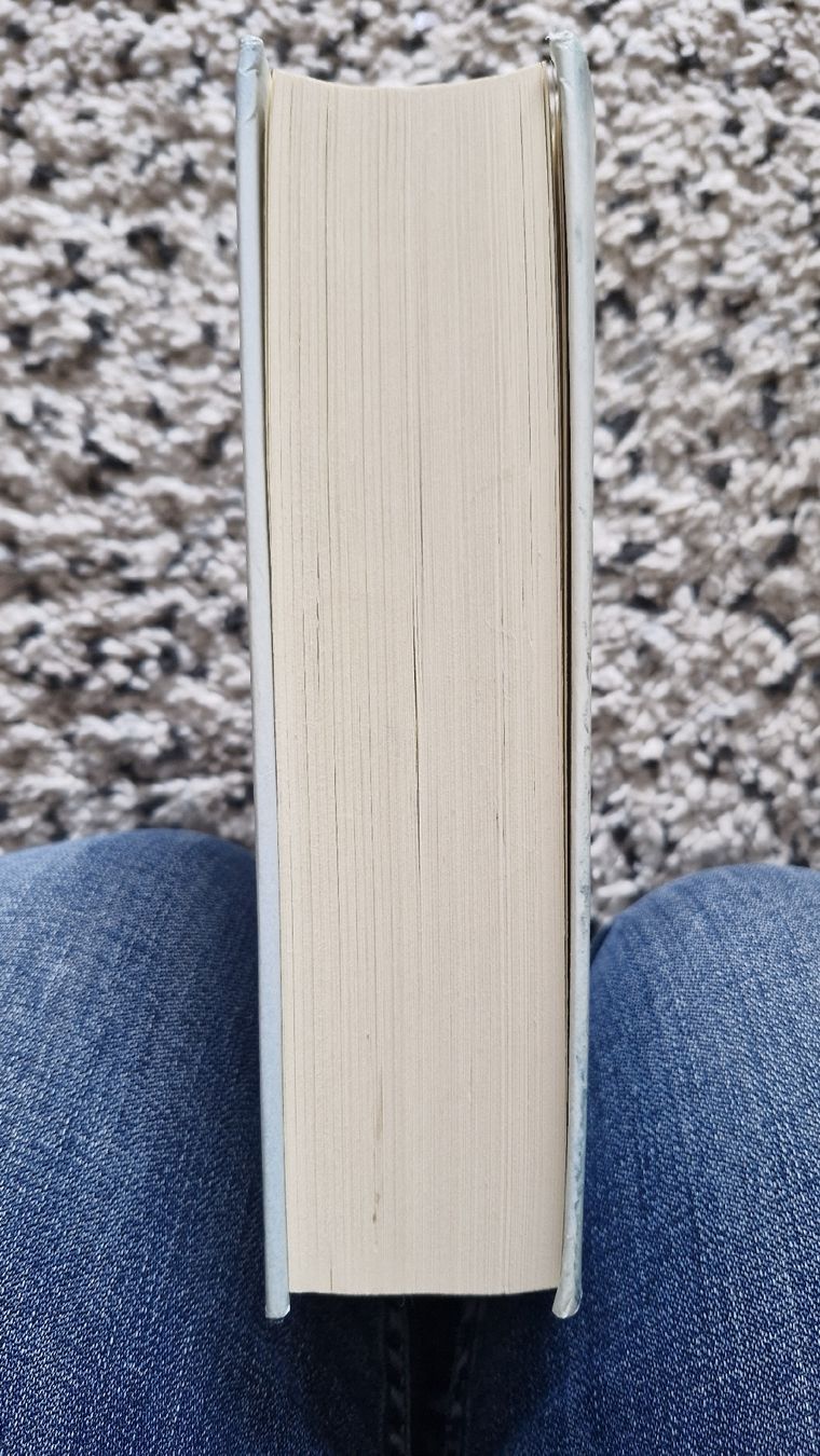 Libri: Ken Follet "Winter der Welt" – Usato da Basel venduto da Andrealin 2