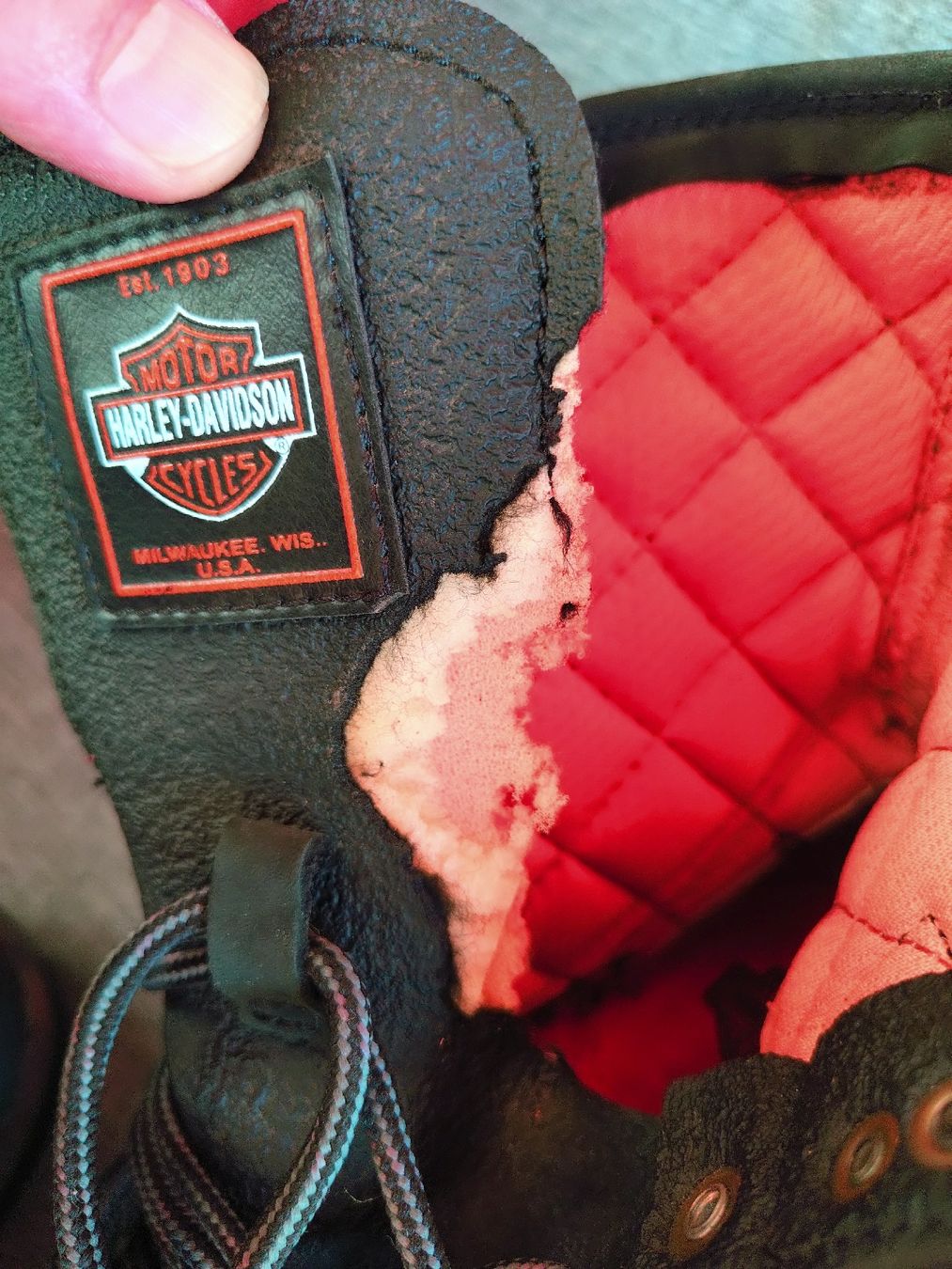 Harley-Davidson Damenschuhe: Harley-Davidson Schuhe Gr.40  – Gebraucht aus Goldach von Fuchour 4
