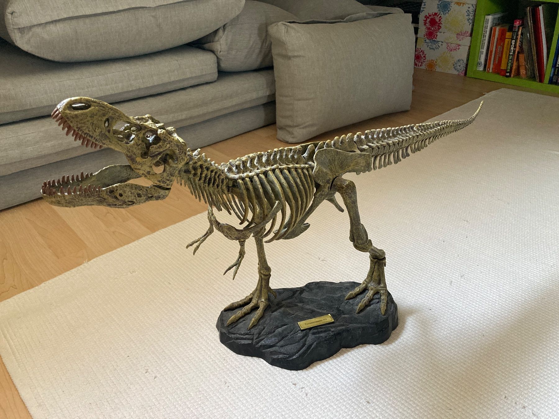 Statuette: Skelett von T-Rex – Usato da Düdingen venduto da dandd