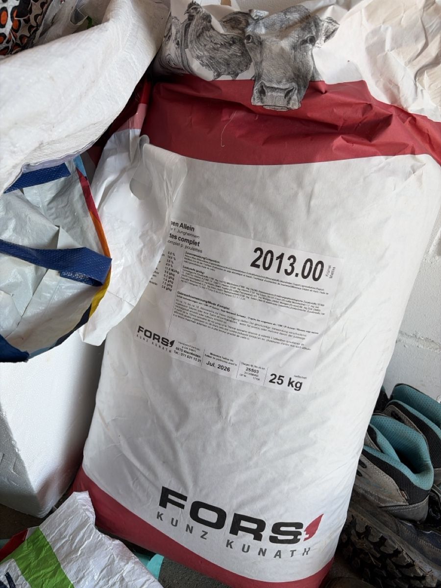 Mangimi: Hühnerfutter Einstreu Fors Futter – Usato da Degersheim venduto da Alphi
