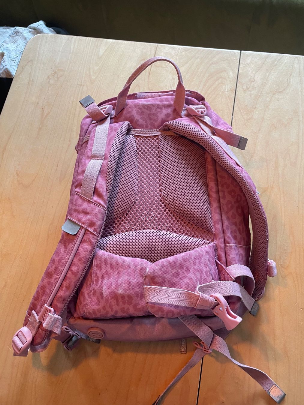 Borse & Zaini: Schulrucksack – Usato da Homberg b. Thun venduto da t...mee 1