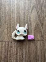LITTLEST PET SHOP CHINCHILLA NR.1401🐾