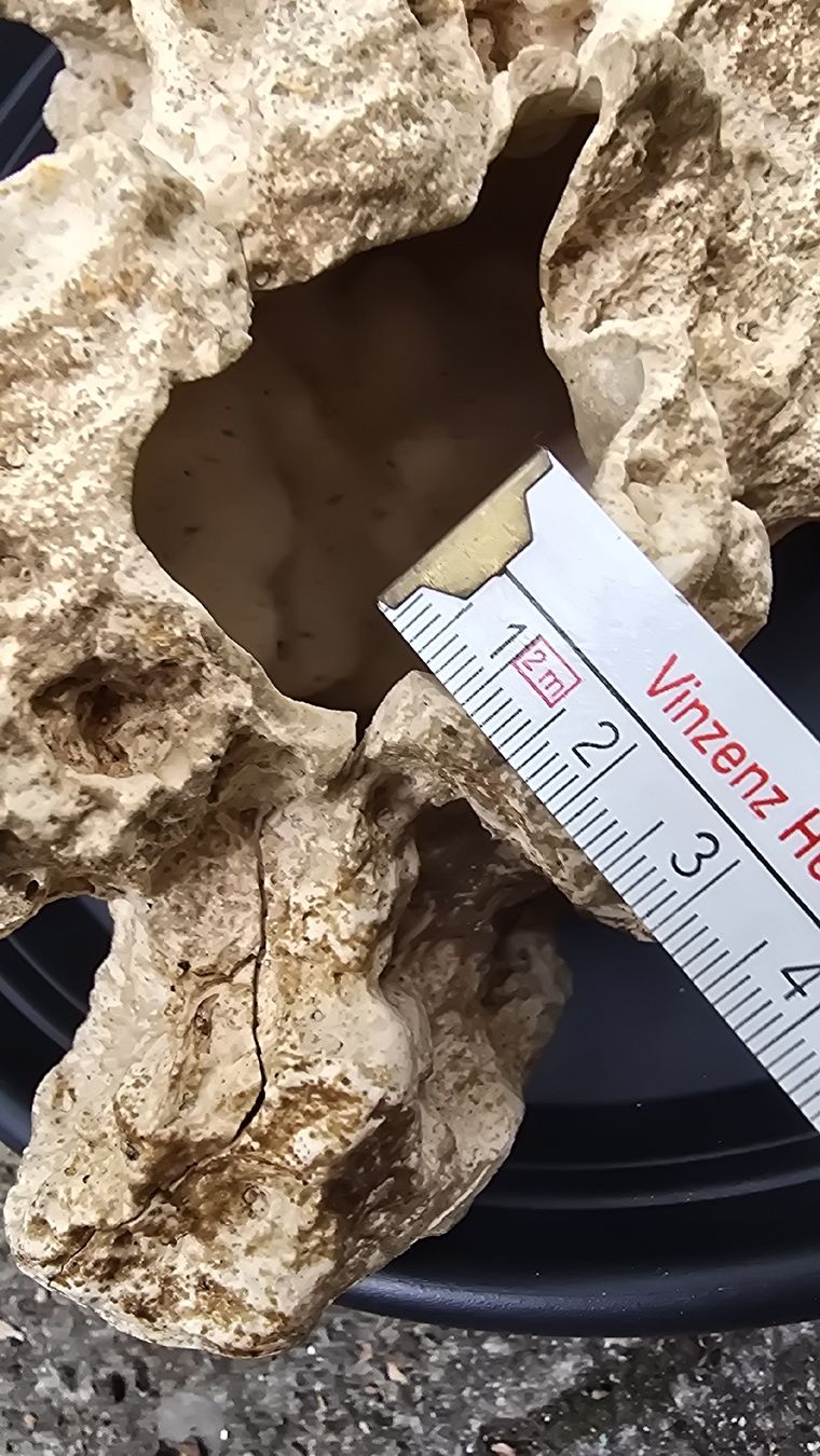 Tutte le decorazioni: Aquarium Deko Stein Korallenstein ca 25 cm hellbeige – Usato da Muttenz venduto da pixopus 6