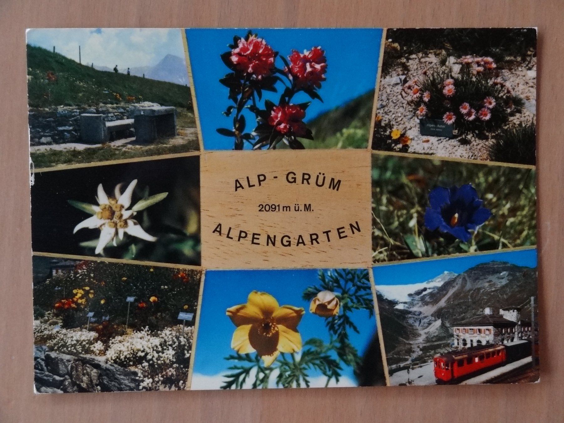 Ansichtskarten: Alp Grüm - Alpengarten 1974 – Gebraucht aus St Léonard von Riglin