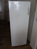 Tiefkühler  168 L     mit Garantie bis  18.3.2030