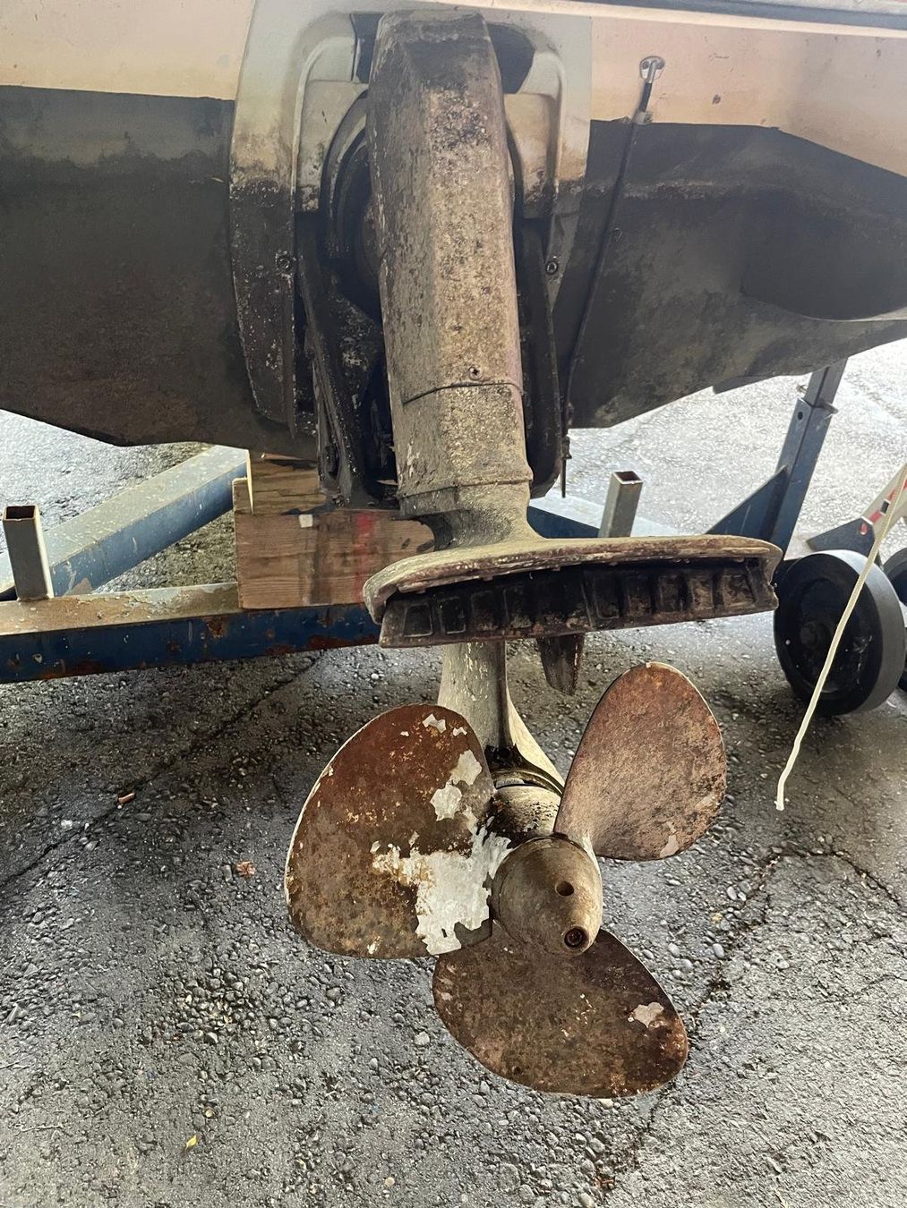 Century Barche: Motorboot Century 190LX – Usato da Stansstad venduto da cellomedia24 5