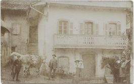LANDWIRTSCHAFT/BAUERNHAUS 1909 mit Pferd+Kuh VD?