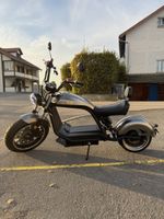 Elektro-Scooter Stingray grau 3560 km gebrauchter Zustand