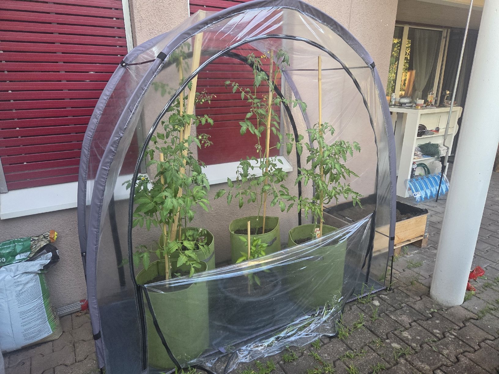 Cabanes de jardin & serres: Gewächshaus praktisch neu! – Neuf (Voir description) à Thun par Jaso8