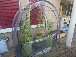 Gewächshaus praktisch neu!