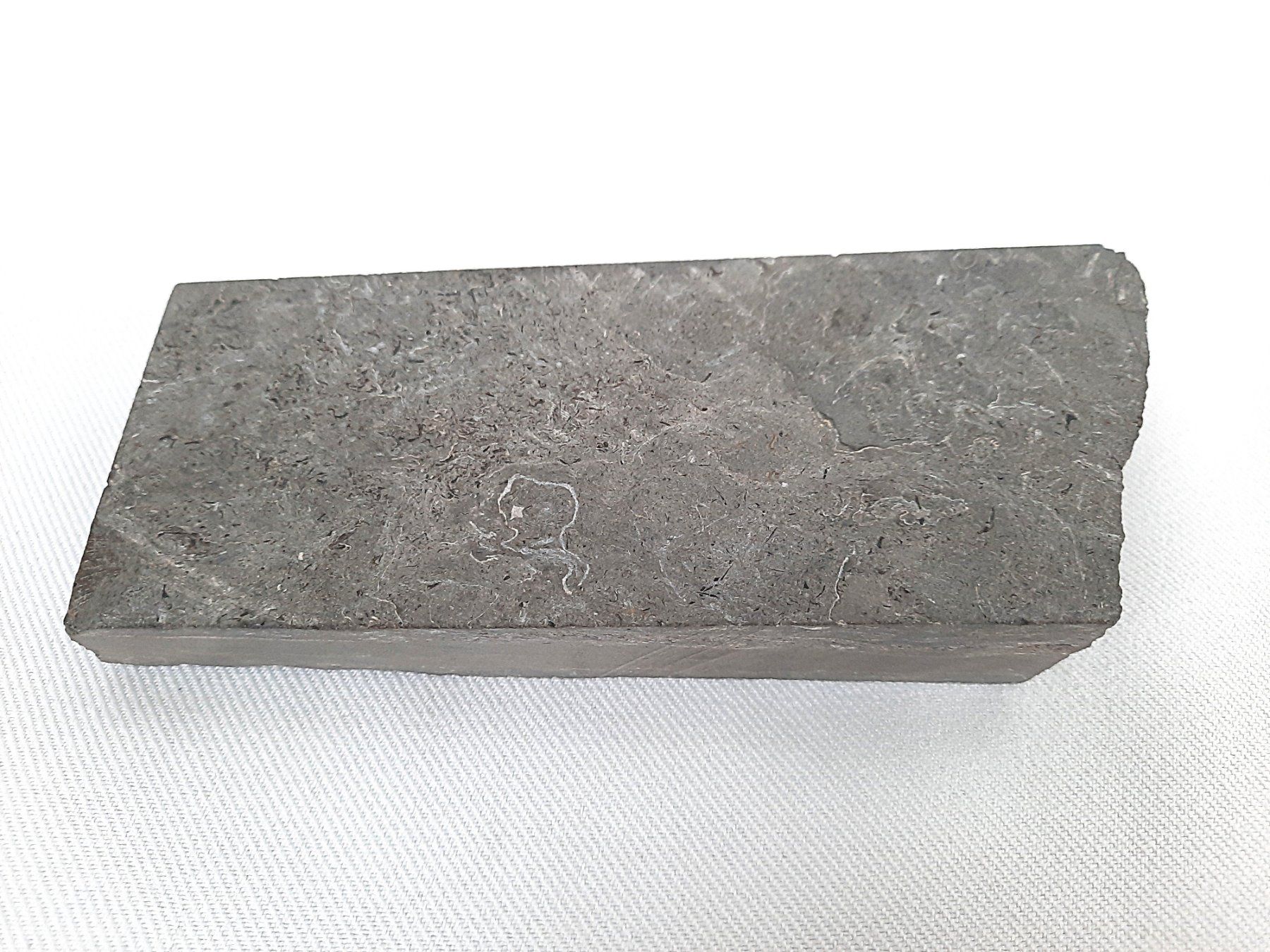 Fossili: Schönes Fossil – Usato da Beinwil am See venduto da Restwert_Beinwil 6