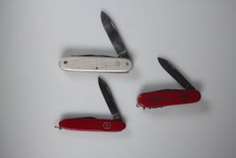 Lot mit 3 Schweizer Taschenmessern Victorinox
