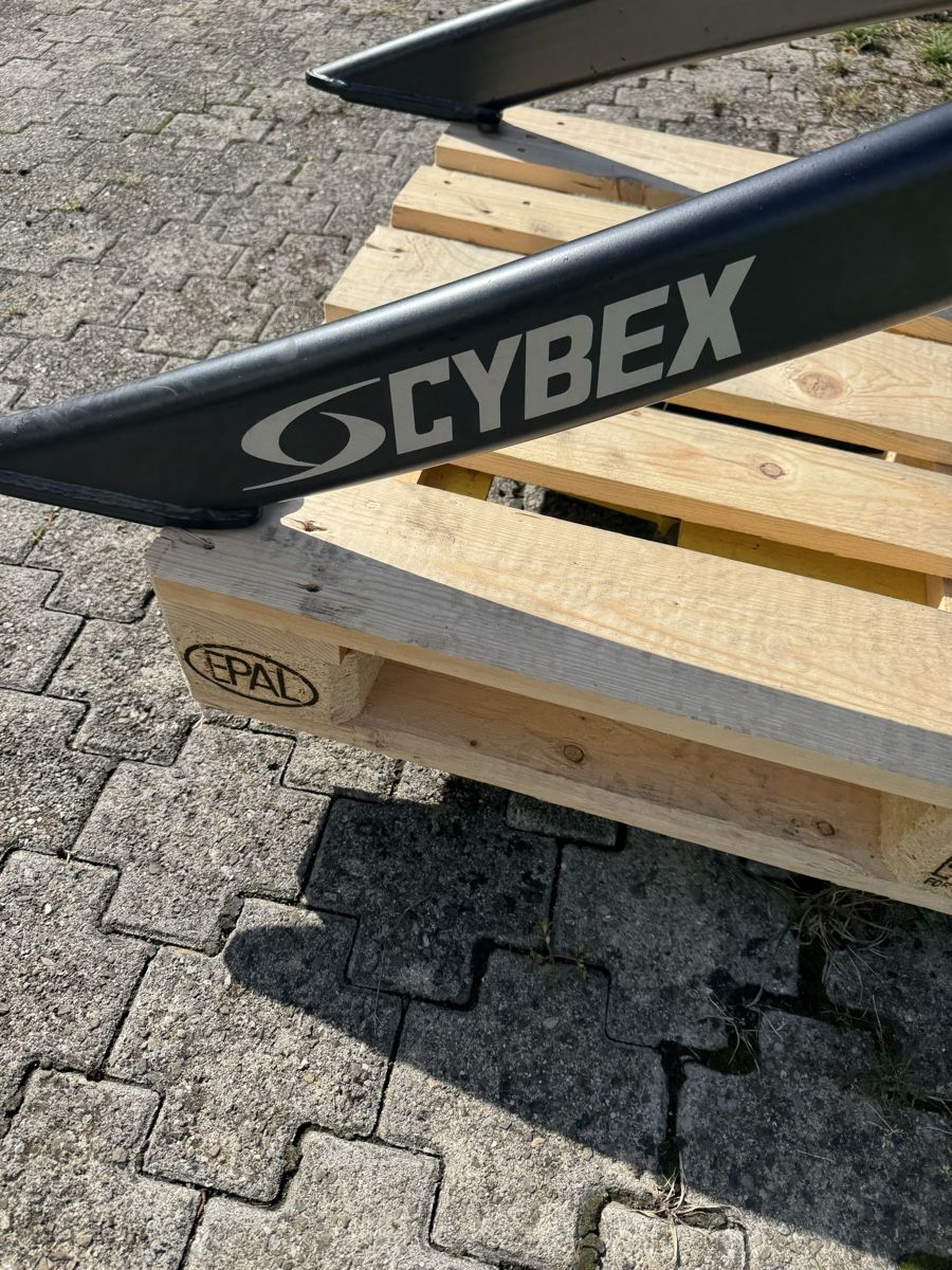 Cybex Hometrainer: Cybex  Back Hyperextension  – Usato da St. Margrethen SG venduto da taf_alb 2