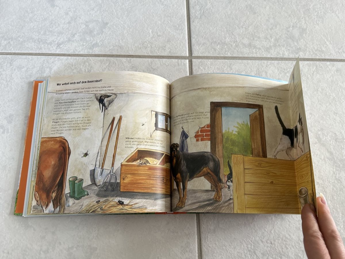 Libri: Buch Kinder – Usato da Lostorf venduto da Venice16 2