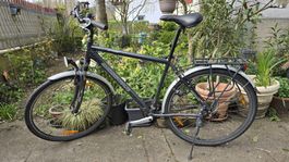 Crosswave Cruiser, 52cm Rahmenhöhe