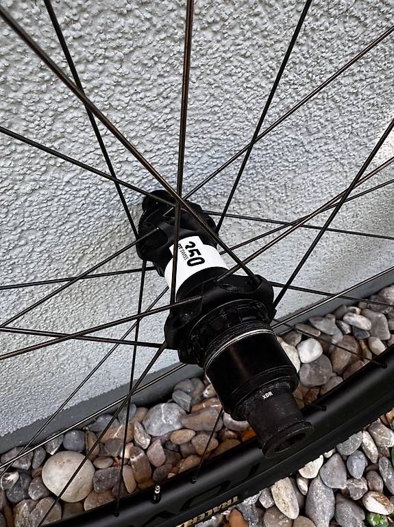 Specialized Pneumatici & Ruote complete: Specialized Roval Terra CL II – Nuovo (secondo la descrizione) da La Tour-de-Trême venduto da w.max 3