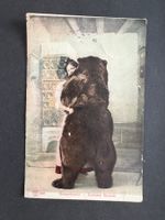 AK 1931 Witzkarte Berner Tracht gebraucht (G3716)