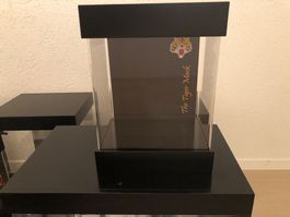 Vitrine Showcase pour figurine Hot Toys
