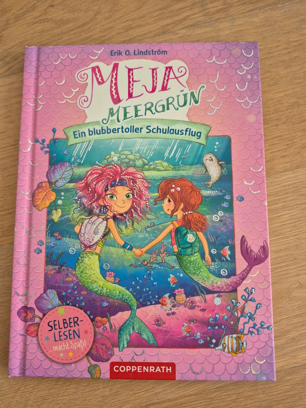 Libri: Lesebuch Meja Meergrün, ein blubbertoller Schulausflug – Usato da Bremgarten AG venduto da mar_6vkb