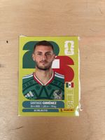 Panini MEX 16