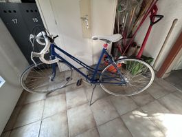 Eiger Fahrrad / Rennrad
