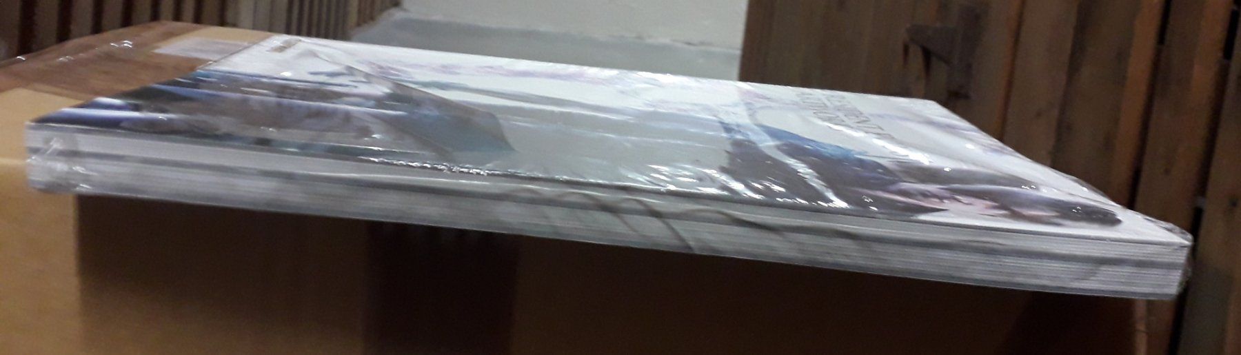 Bücher: Resident Evil 6 Artworks – Neu und originalverpackt aus Basel von QUER13 4