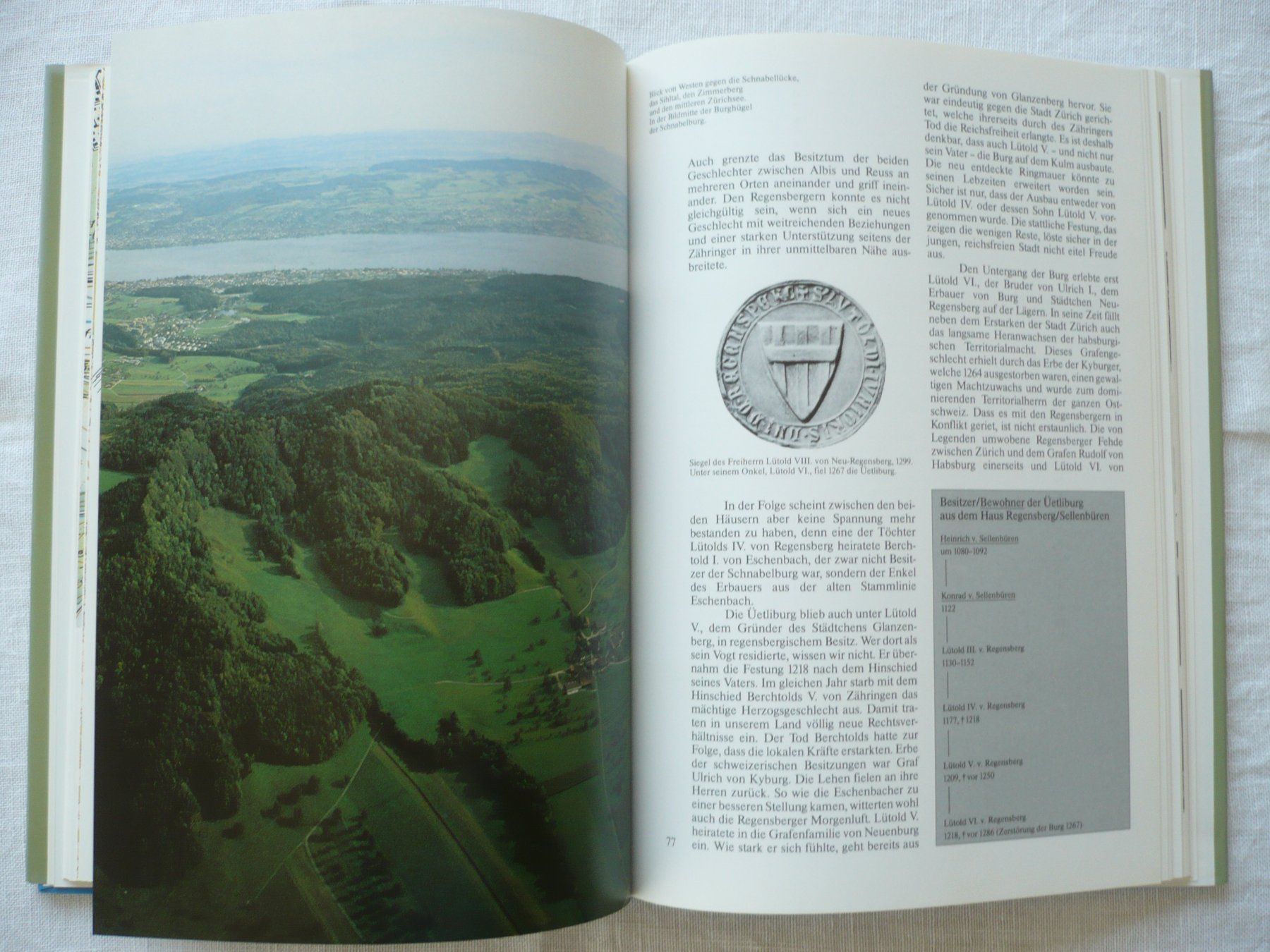 Libri: DER ÜETLIBERG – Usato da Zürich venduto da saltandpepper008 2