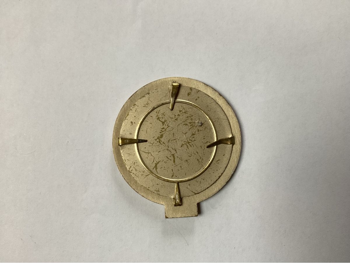 Schweizer Armee Placchette & Badge: Beret Emblem – Usato da niederurnen venduto da Hagugelmann 1