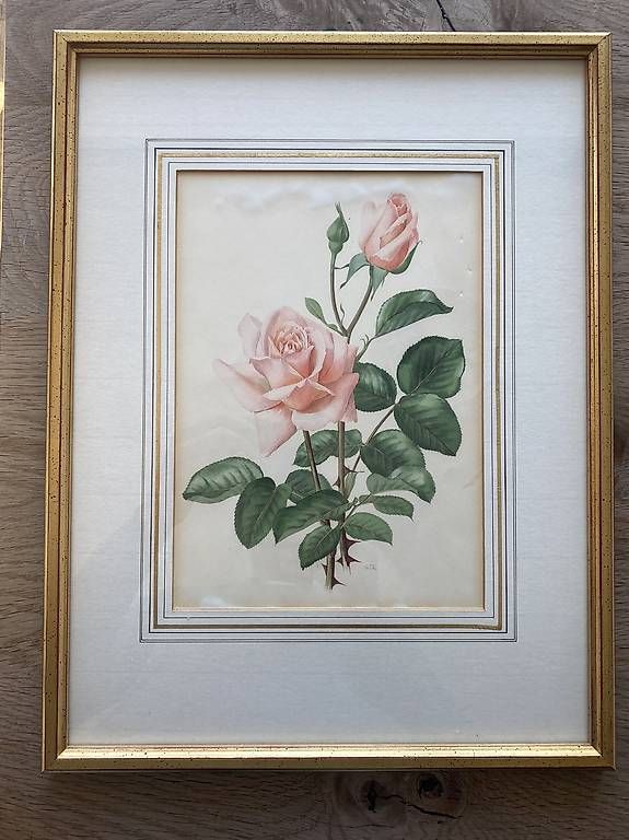 Foto & Immagini: Rose im Goldrahmen – Usato da Zürich venduto da uts_789v