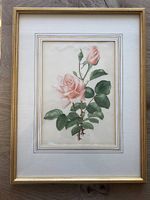 Rose im Goldrahmen