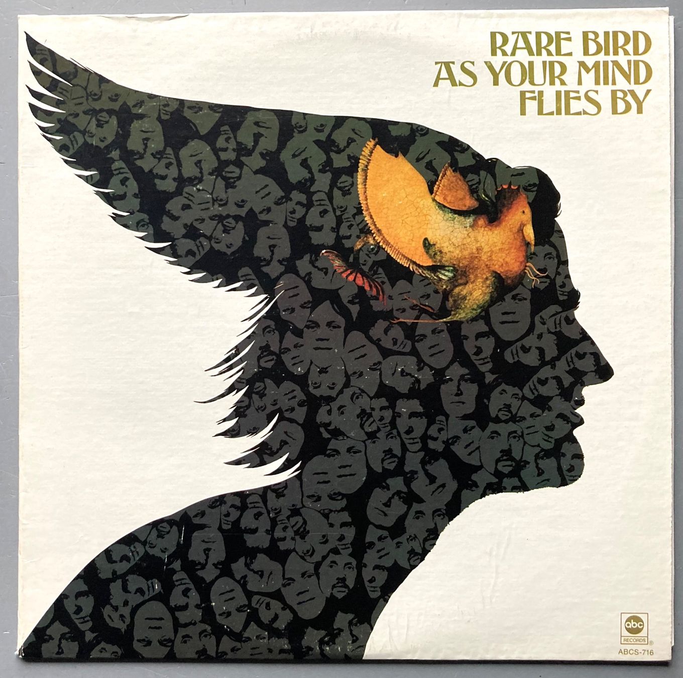 Vinyles: RARE BIRD - AS YOUR MIND FLIES BY – D'occasion à Poliez-Pittet par Newtown-Records