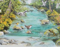 Plakat „Biodiversität und Lebensräume – Bachlandschaft“