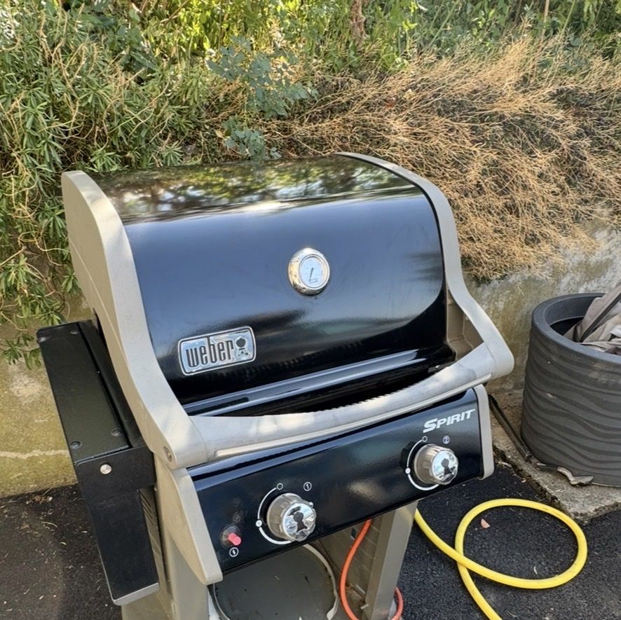 Griglie: weber spirit e-210 – Usato da Büsserach venduto da Brranko